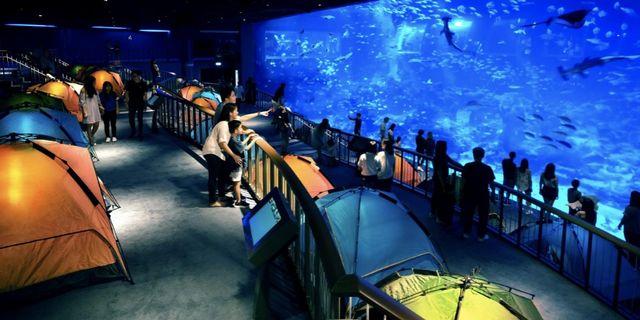 SEA aquarium ticket to clear