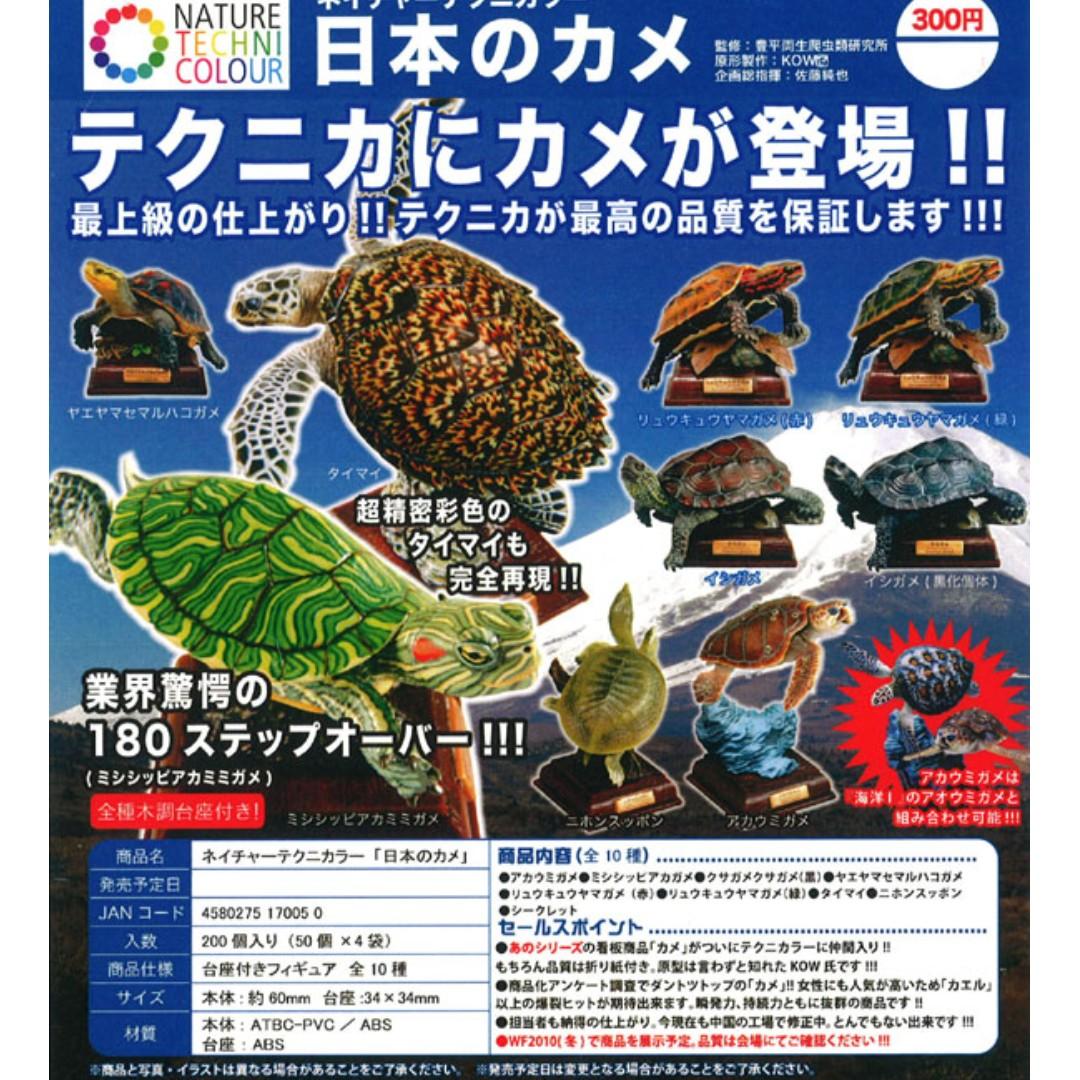 総合福袋 ネイチャーテクニカラー 日本のカメ 10種