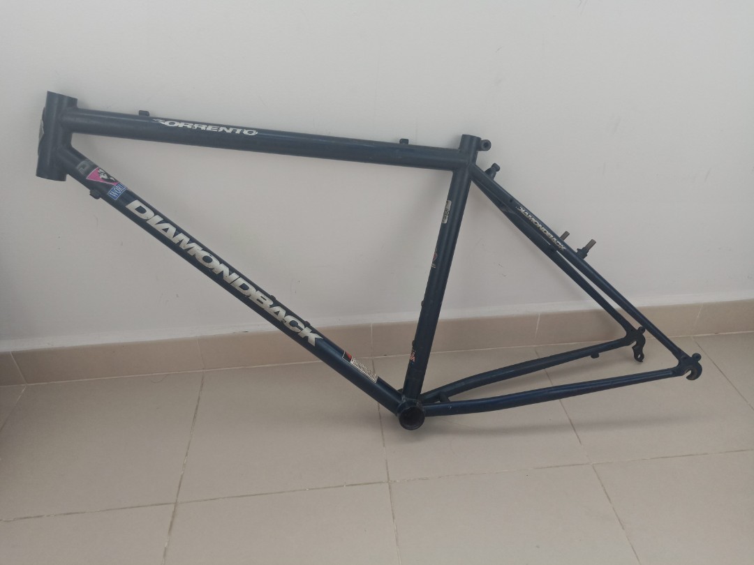 Diamondback frame shop