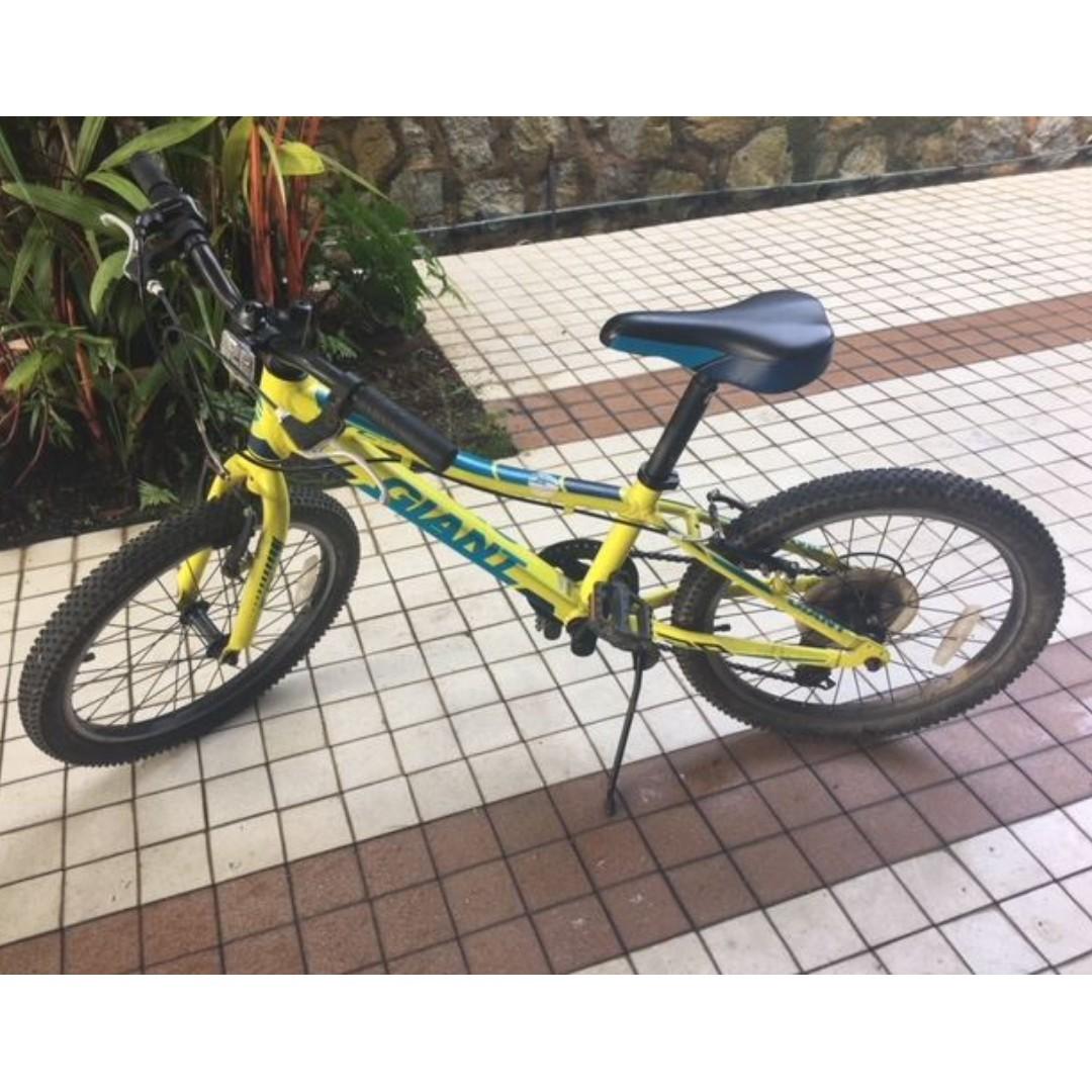 giant 20 inch mountain bike