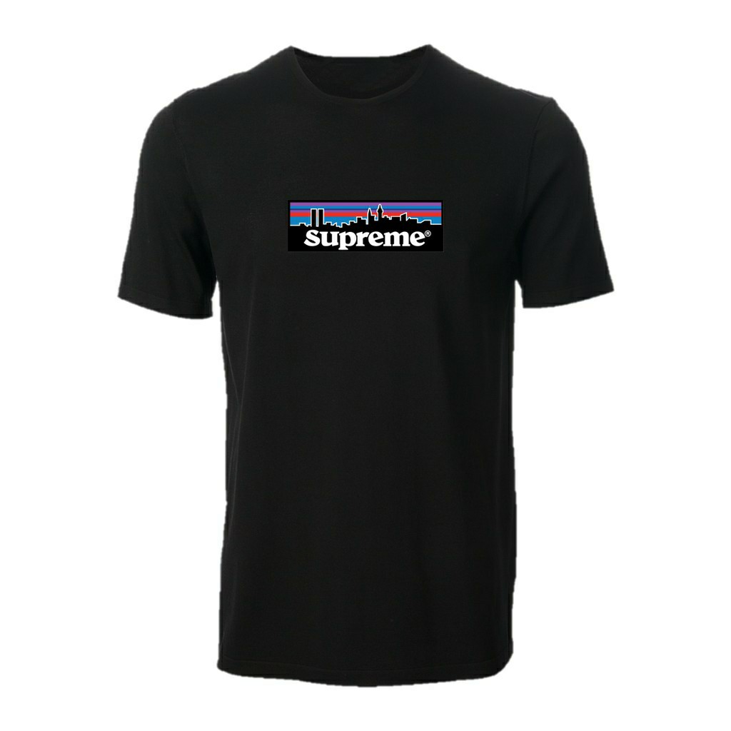 Supreme store patagonia tee