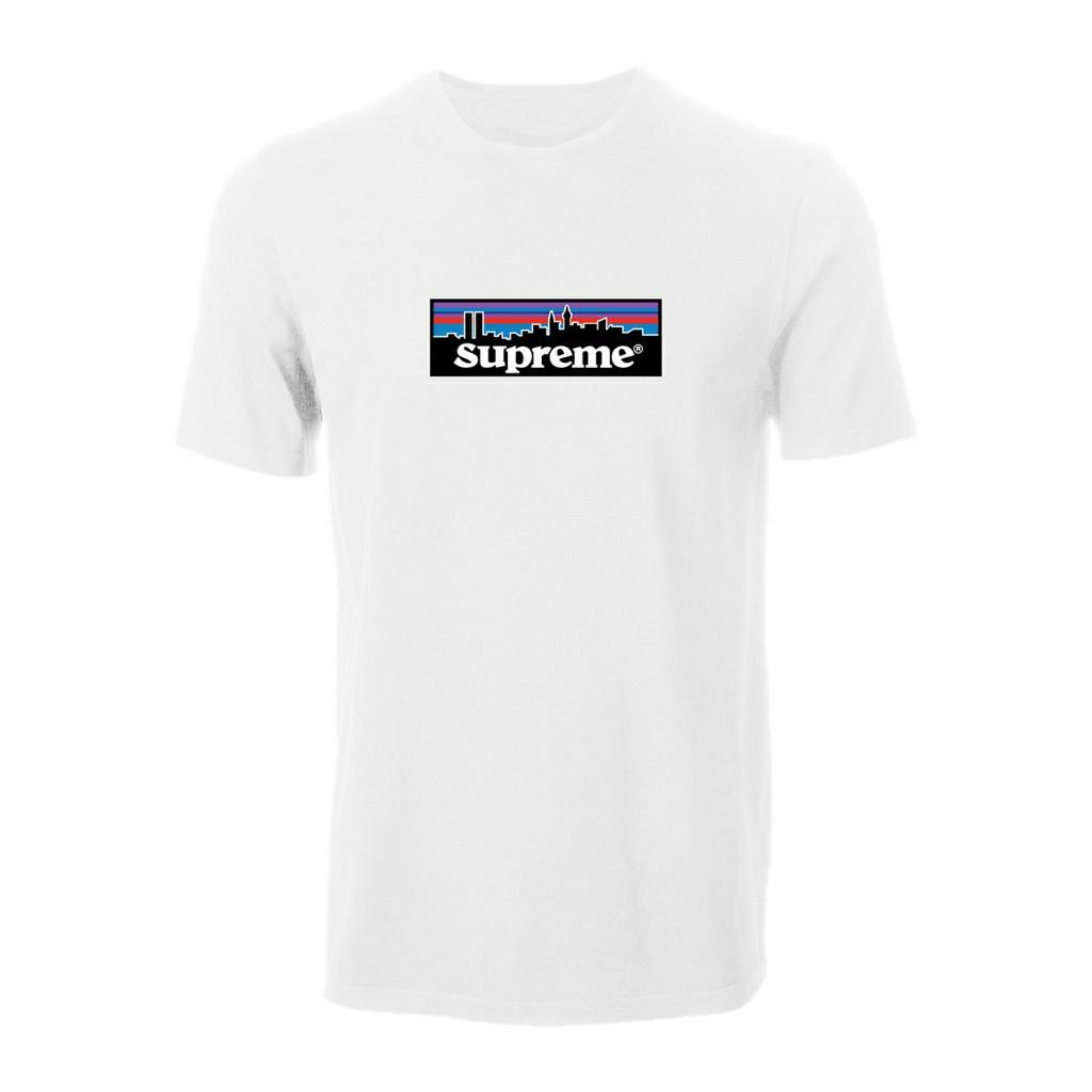 Supreme patagonia on sale tee