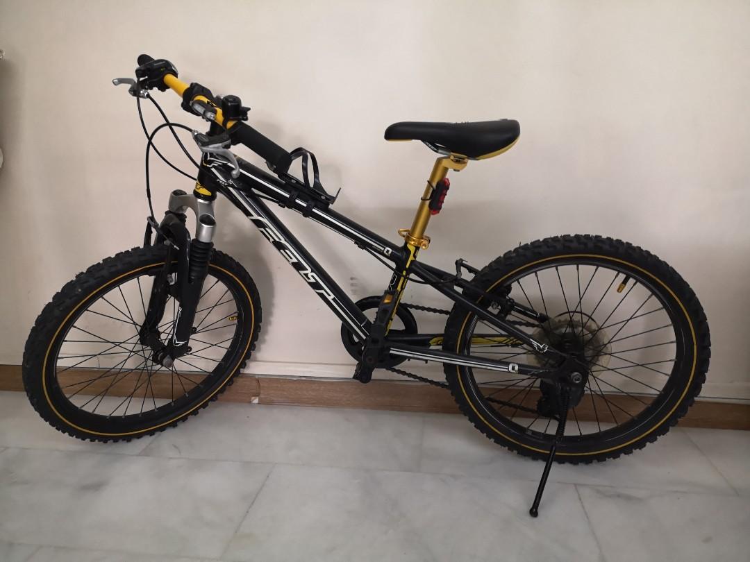 felt 20 inch mountain bike