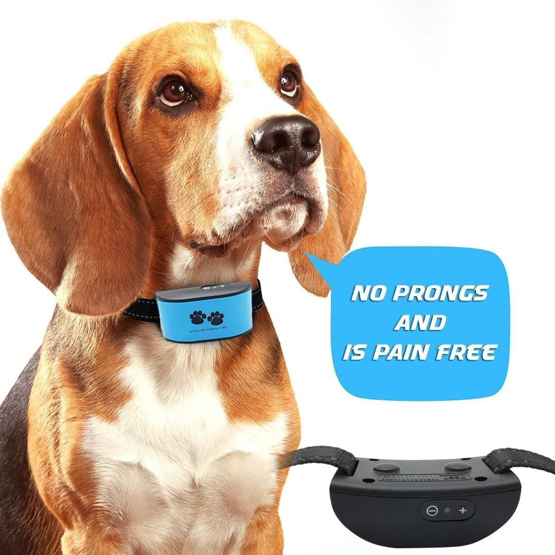 Humane Anti Bark Dog Collar For Small To Medium Dogs And Puppies With Battery