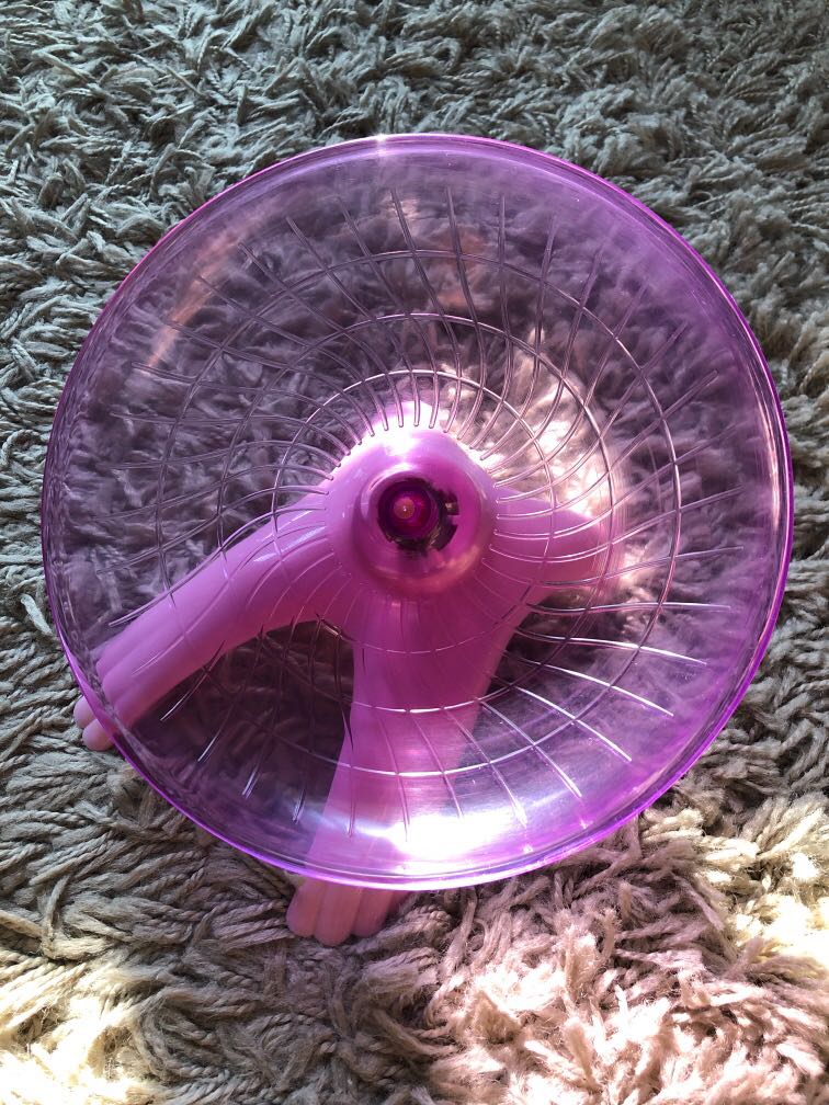 Hamster wheel, Pet Supplies, Homes & Other Pet Accessories on Carousell