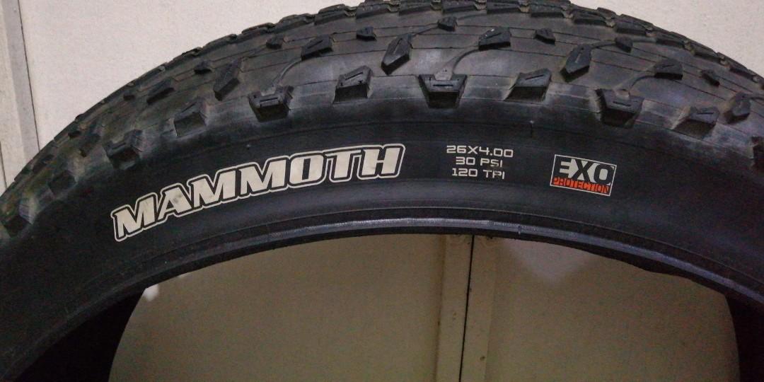 maxxis mammoth 4.0