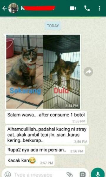 PROMOSI CLEAR STOCK] Superfood Vitamin Gemukkan Kucing u0026 Lebatkan 