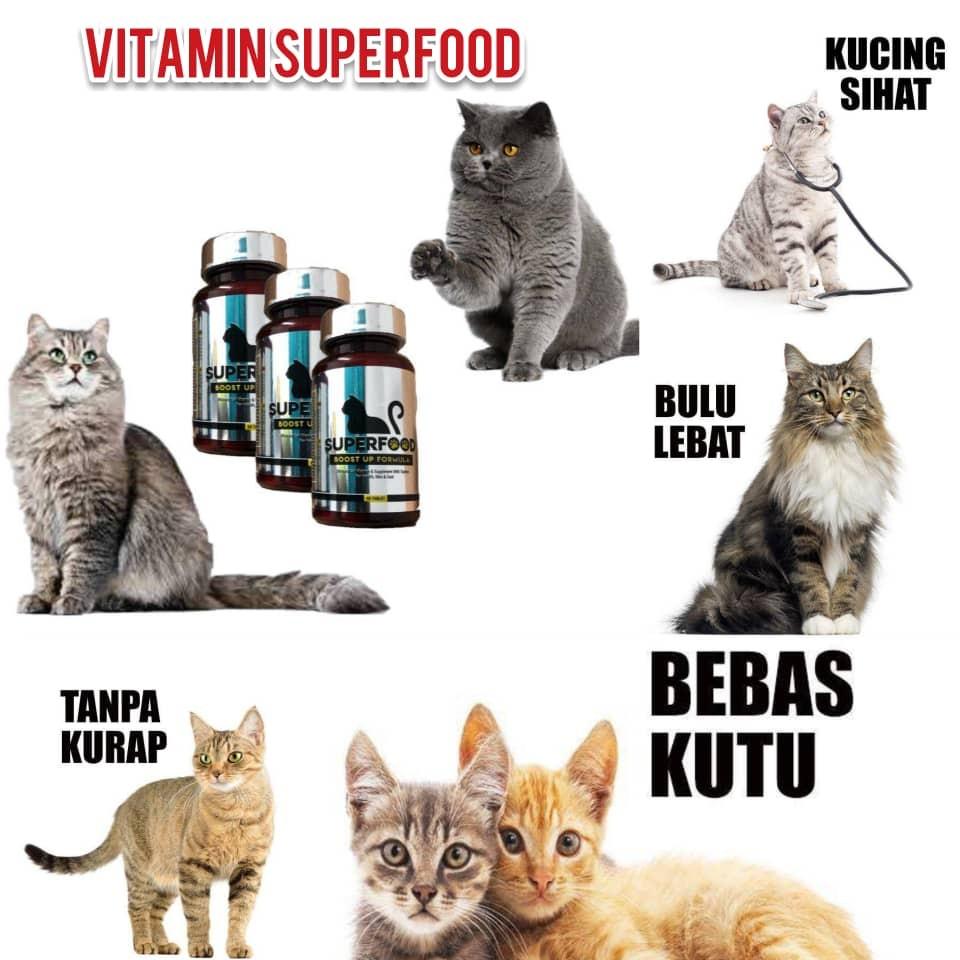 PROMOSI CLEAR STOCK] Superfood Vitamin Gemukkan Kucing u0026 Lebatkan 