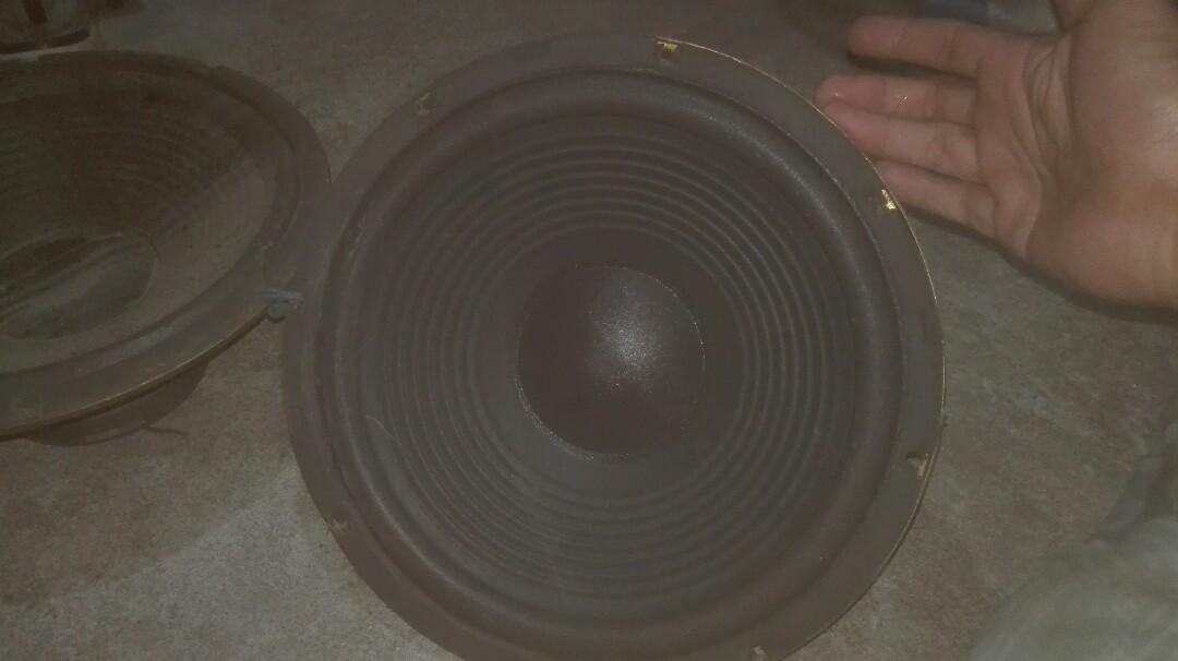 speaker sharp 12 inch