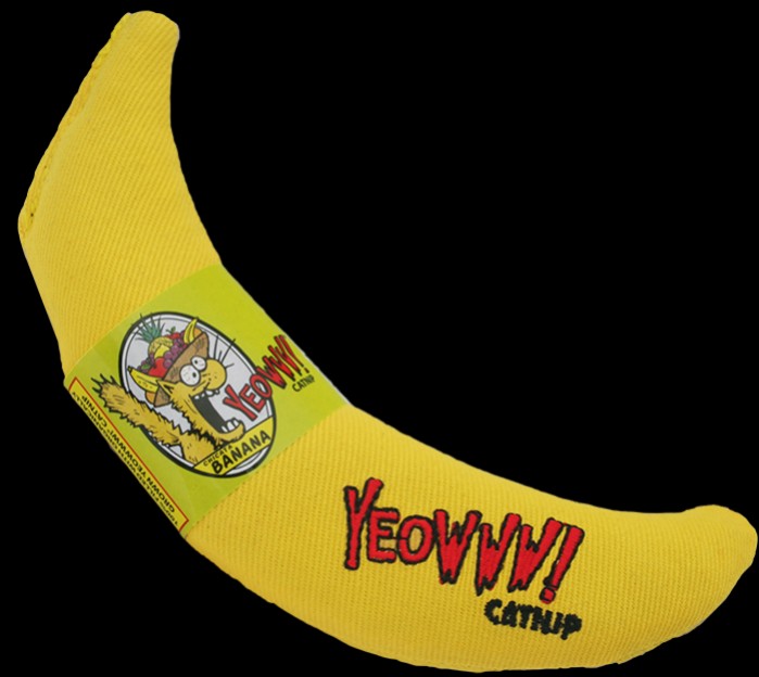 yeowww cat banana