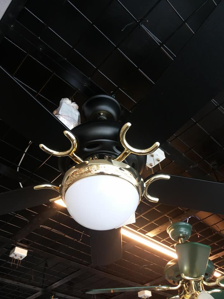 fiam ceiling fan with light