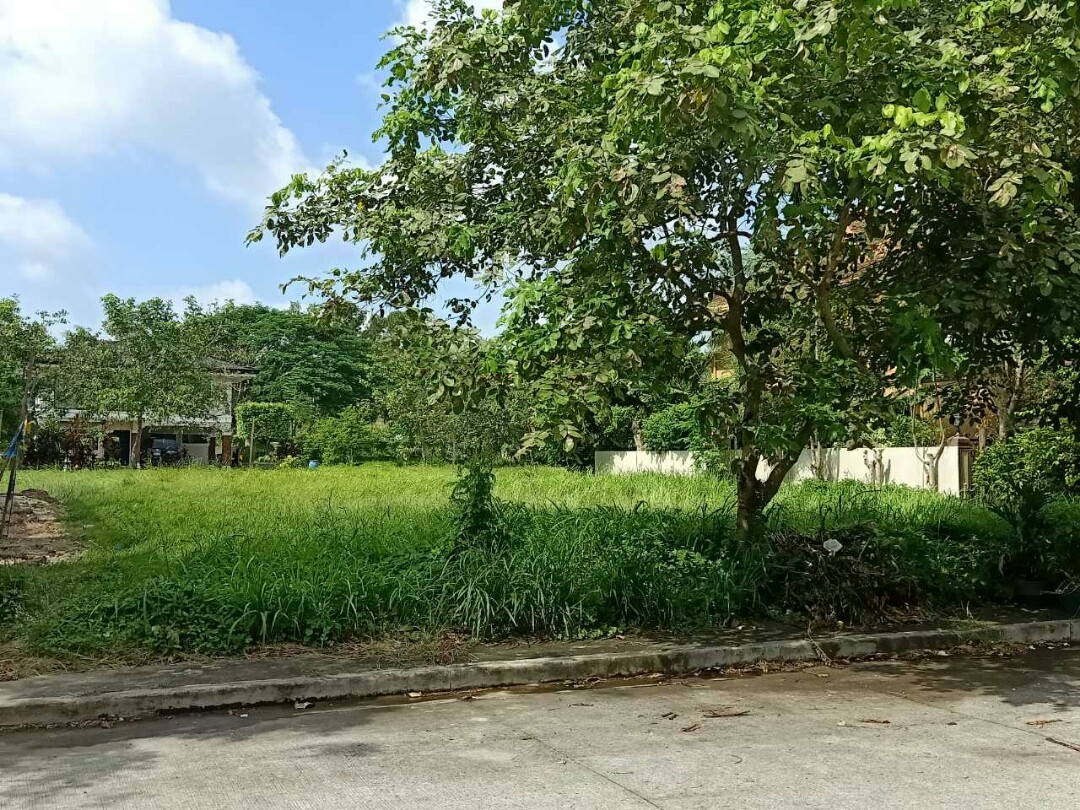 (Category: ) located in . Submitted by dareen07 (Listing ID 252478739, Image 1). Description: .