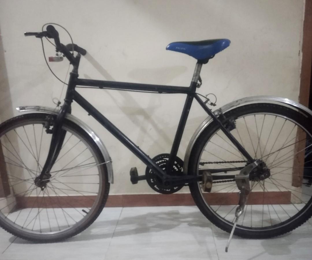 Sepeda Dewasa Bekas Sports Bicycles On Carousell