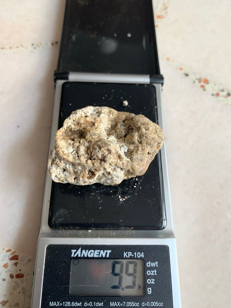 White Ambergris Raw Solid 9 9 Grams Health Beauty Perfumes Deodorants On Carousell Best dining in ambergris caye, belize cayes: white ambergris raw solid 9 9 grams