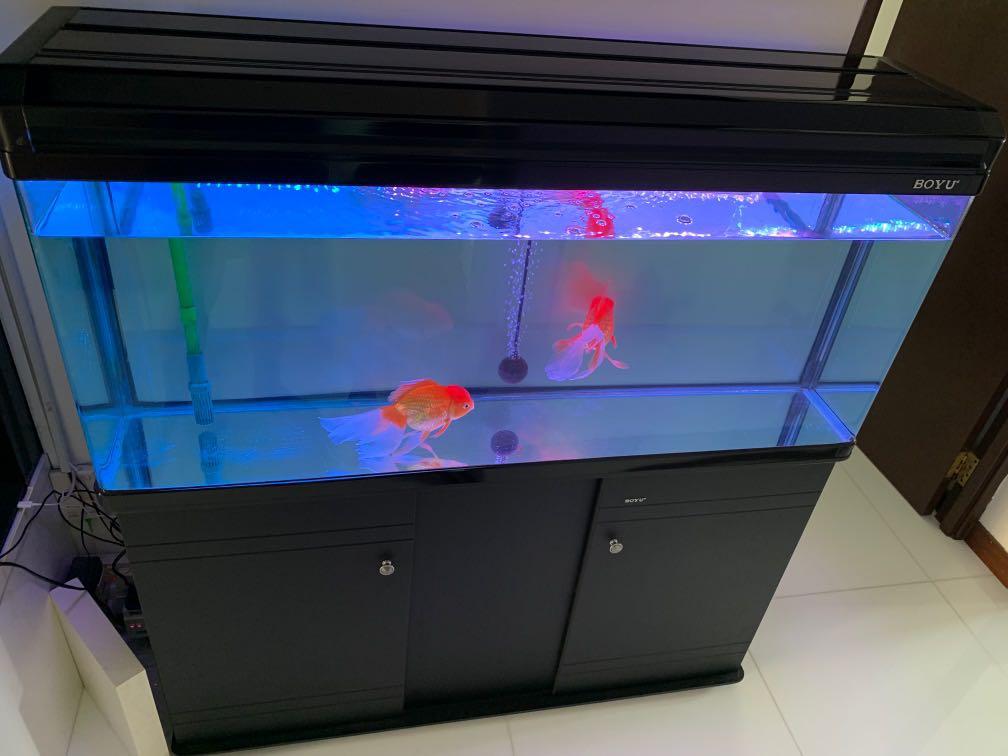aqua one fish tank 60 litre