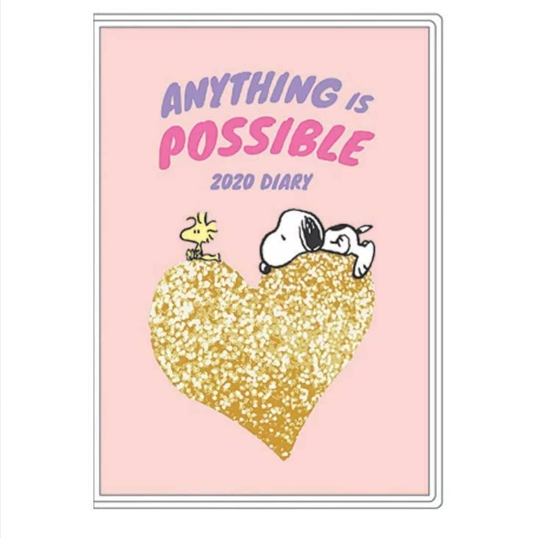 萌貓小店日本直送 Snoopy 系列a6 Schedule A6変形ファミリーダイアリーピーナッツ 書本 文具 文具 Carousell