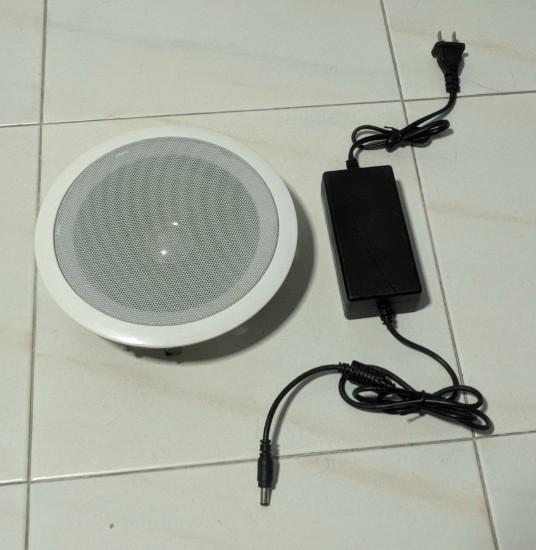 Bluetooth Speaker For False Ceiling Electronics Others On Carousell