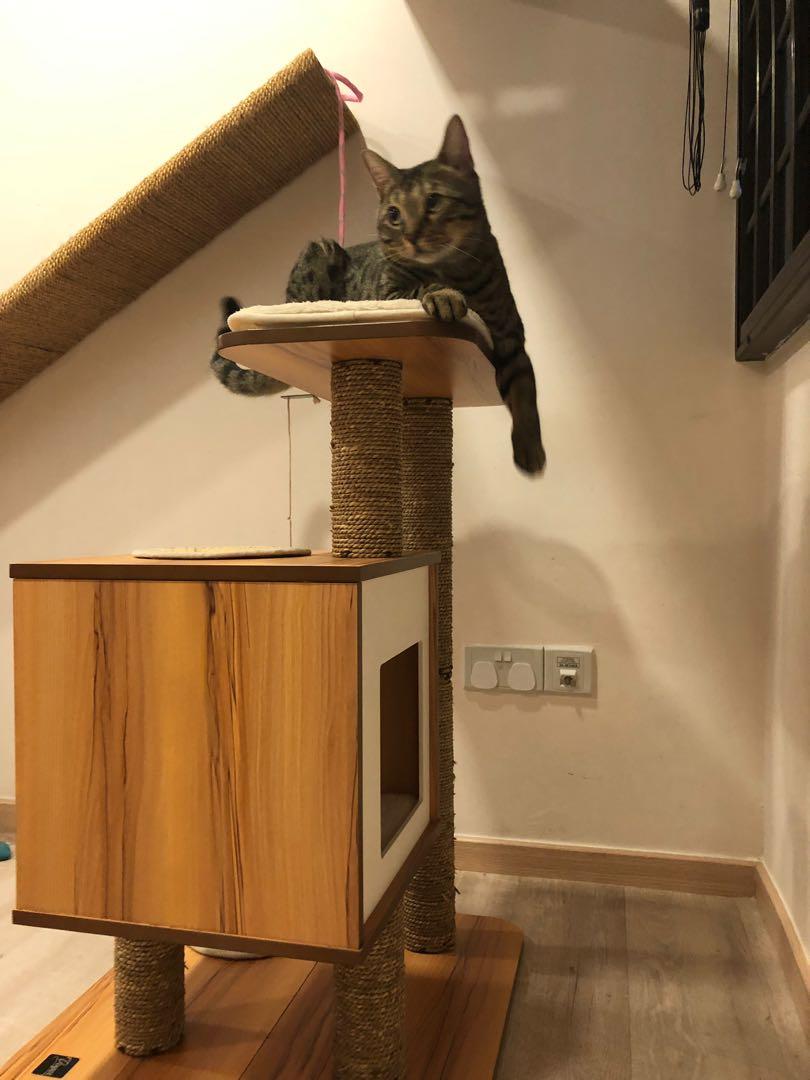 Hagen vesper cat furniture shop