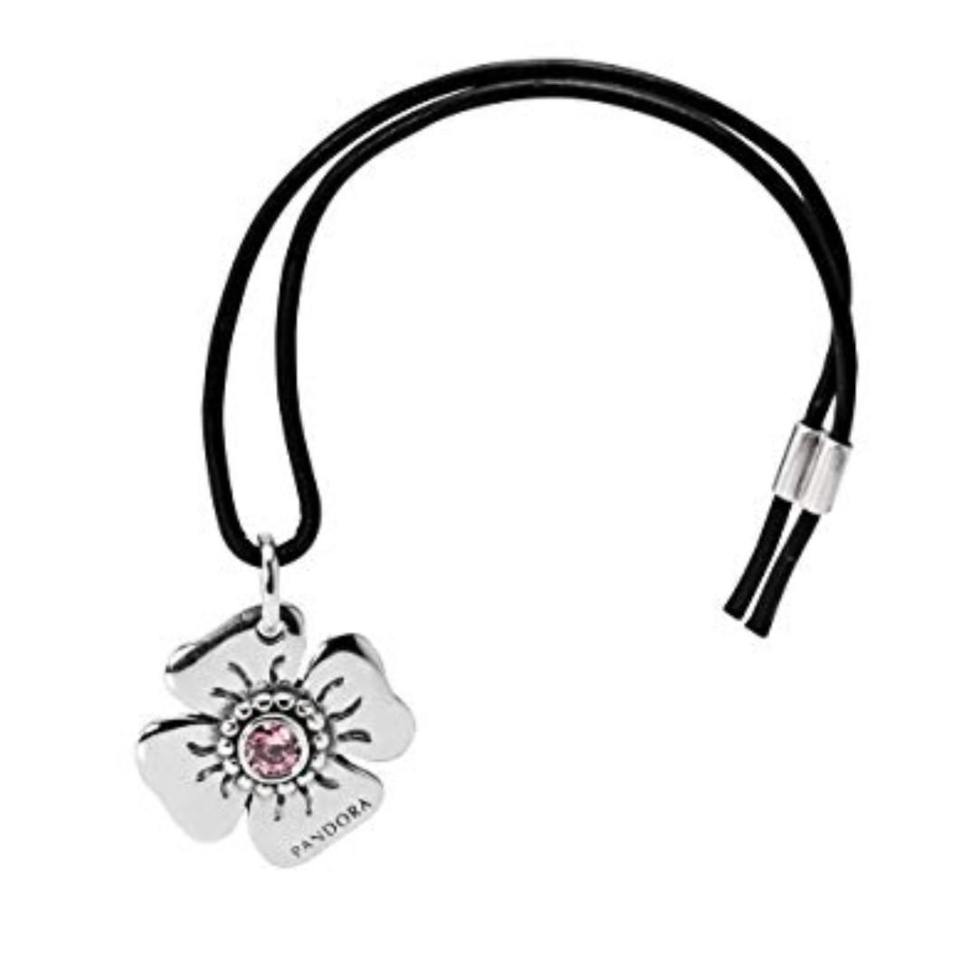 Pandora clip opener deals