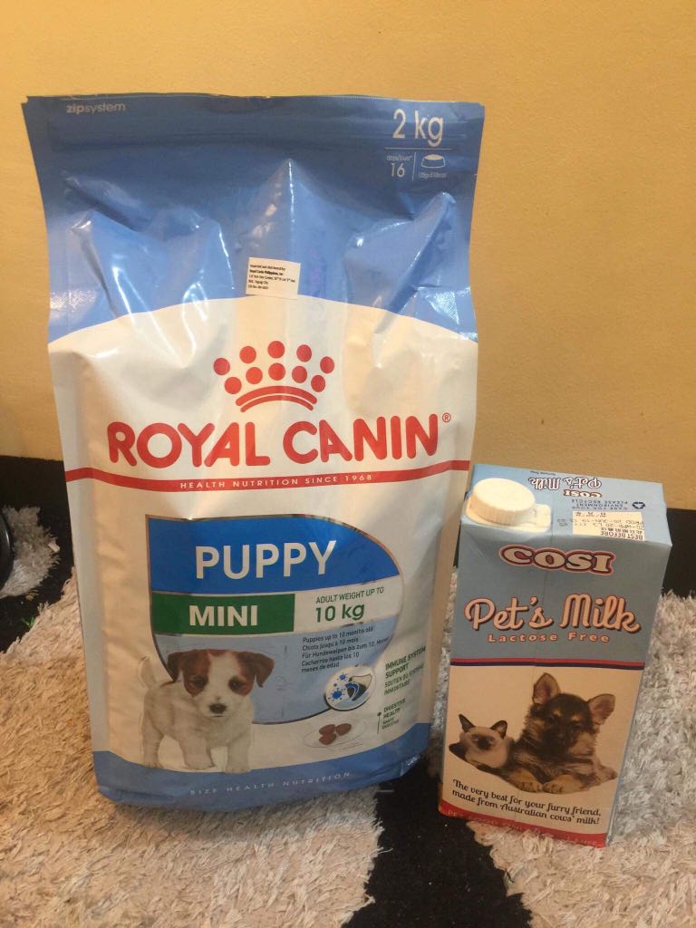 Royal Canin Puppy Plus Cosi Milk For Pets Pets Supplies Pet Food On Carousell