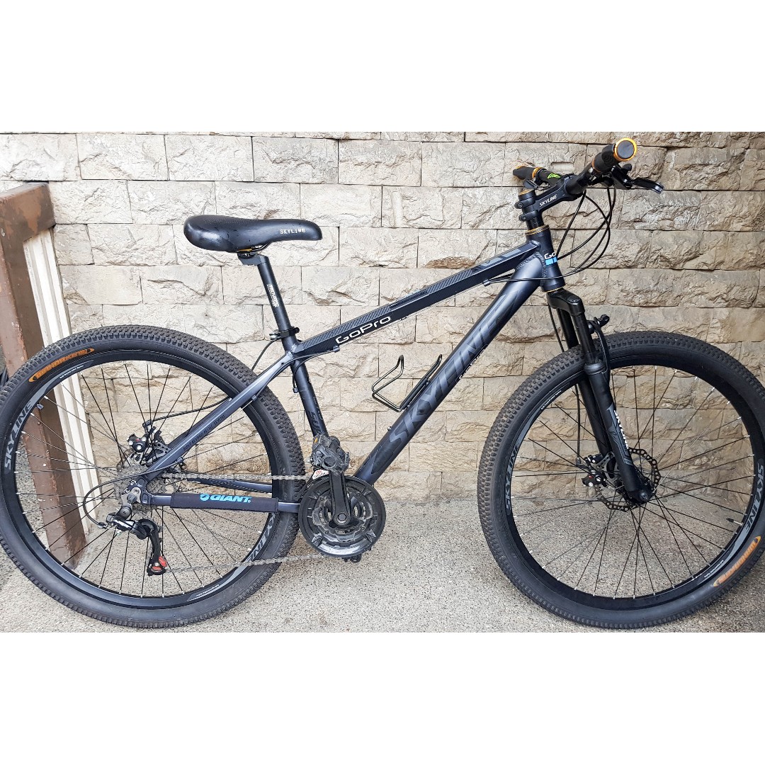 Skyline mountain bike clearance