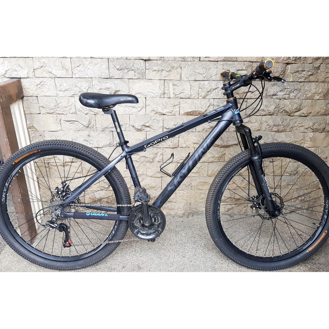 skyline bike 27.5