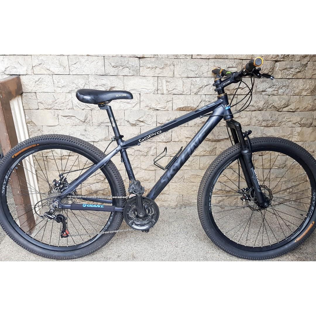 skyline mountain bike