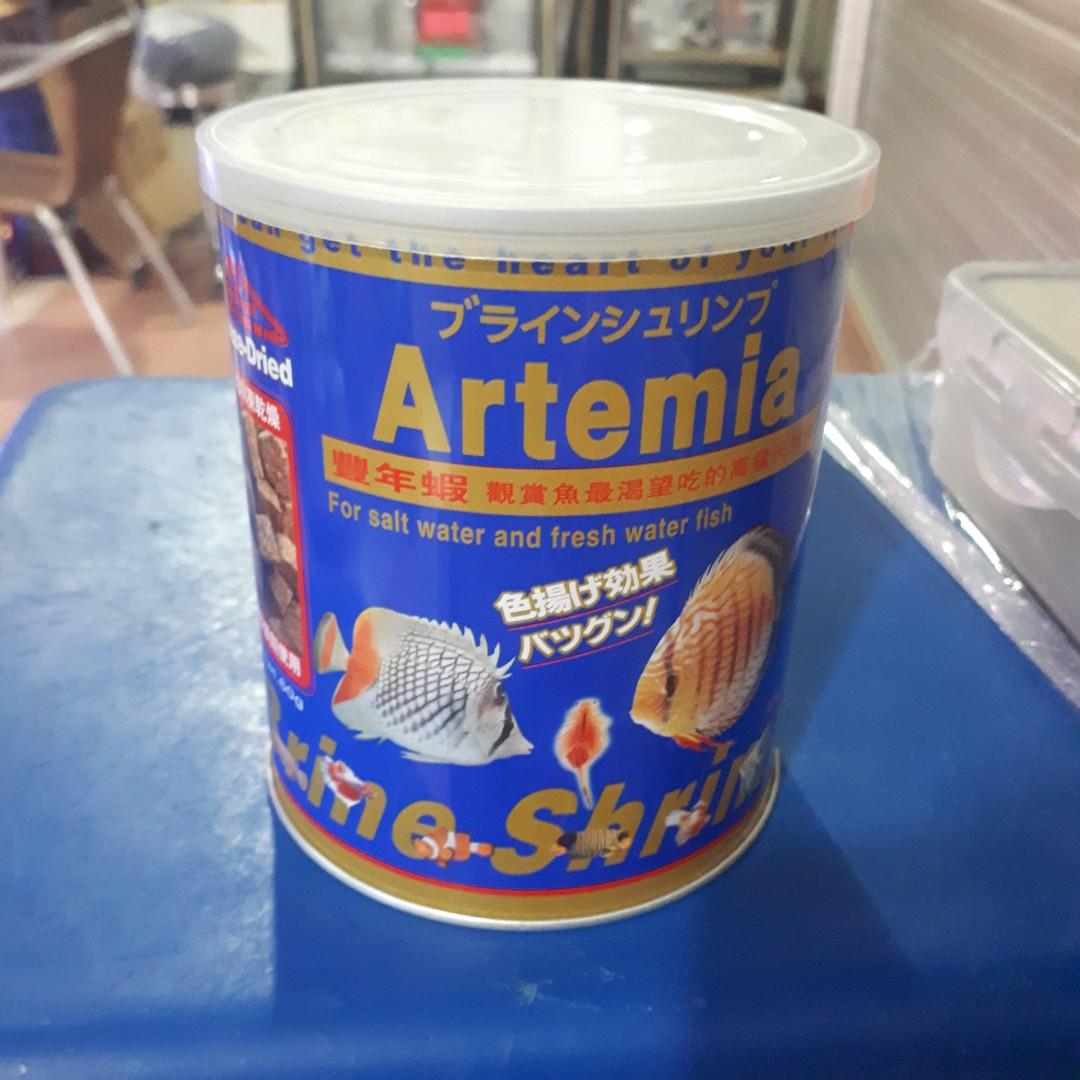 Artemia brine shrimp