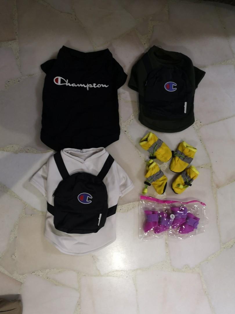 Champion hoodie for dogs sales