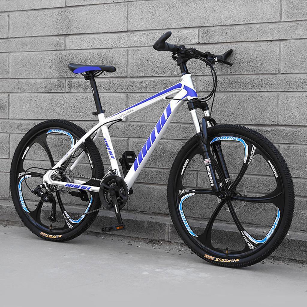 mountain bike low price