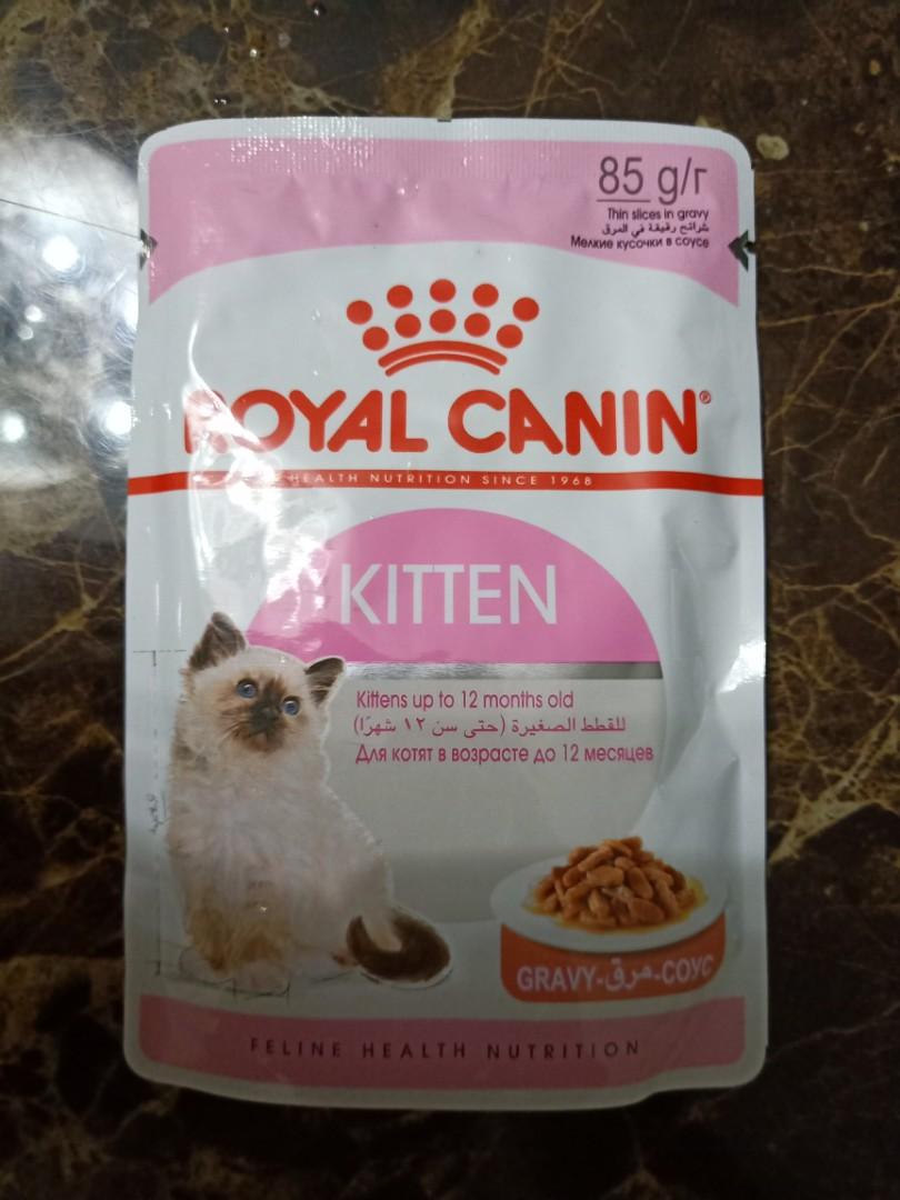 Royal Canin Kitten Wet Food Pet Supplies For Cats Cat Food On Carousell