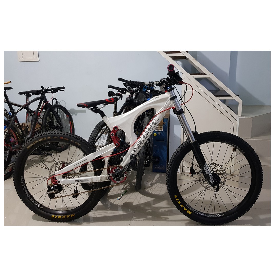 santa cruz v10 price