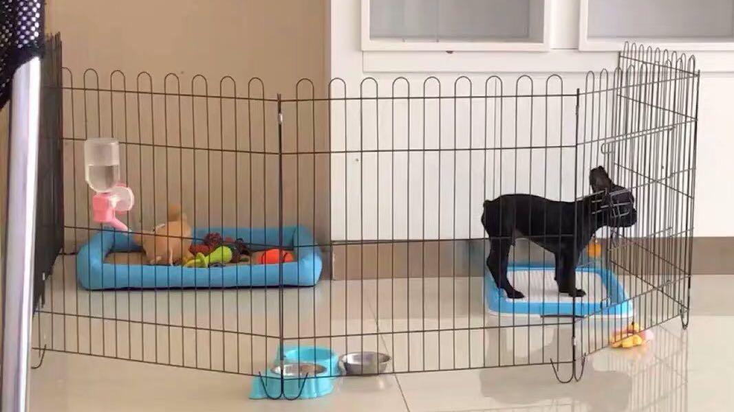 Oos Small Dog Rabbit Fence Playpen 6 Panel Set Black Pet