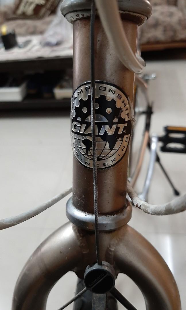 Giant rock 2025 4000 mountain bike