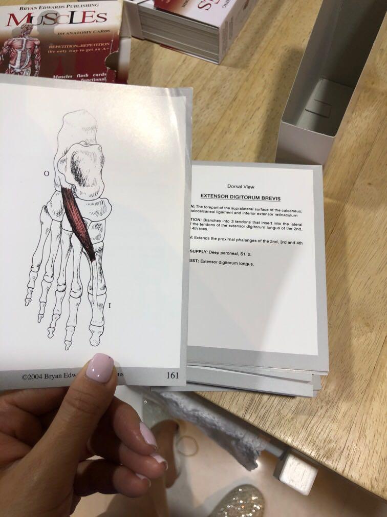 Stott pilates anatomy test must! Muscle flash card by Bryan Edwards