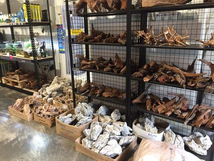 (Category: ) located in . Submitted by fins.n.paws (Listing ID 246652899, Image 1). Description: .