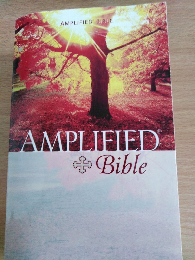 Amplified Bible, Hobbies & Toys, Books & Magazines, Fiction & Non ...