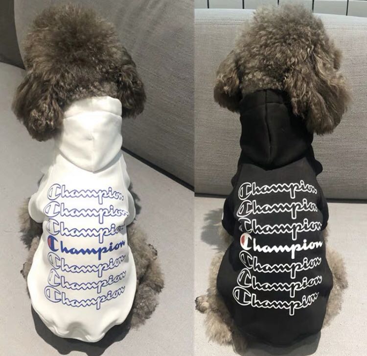 dog champion hoodie