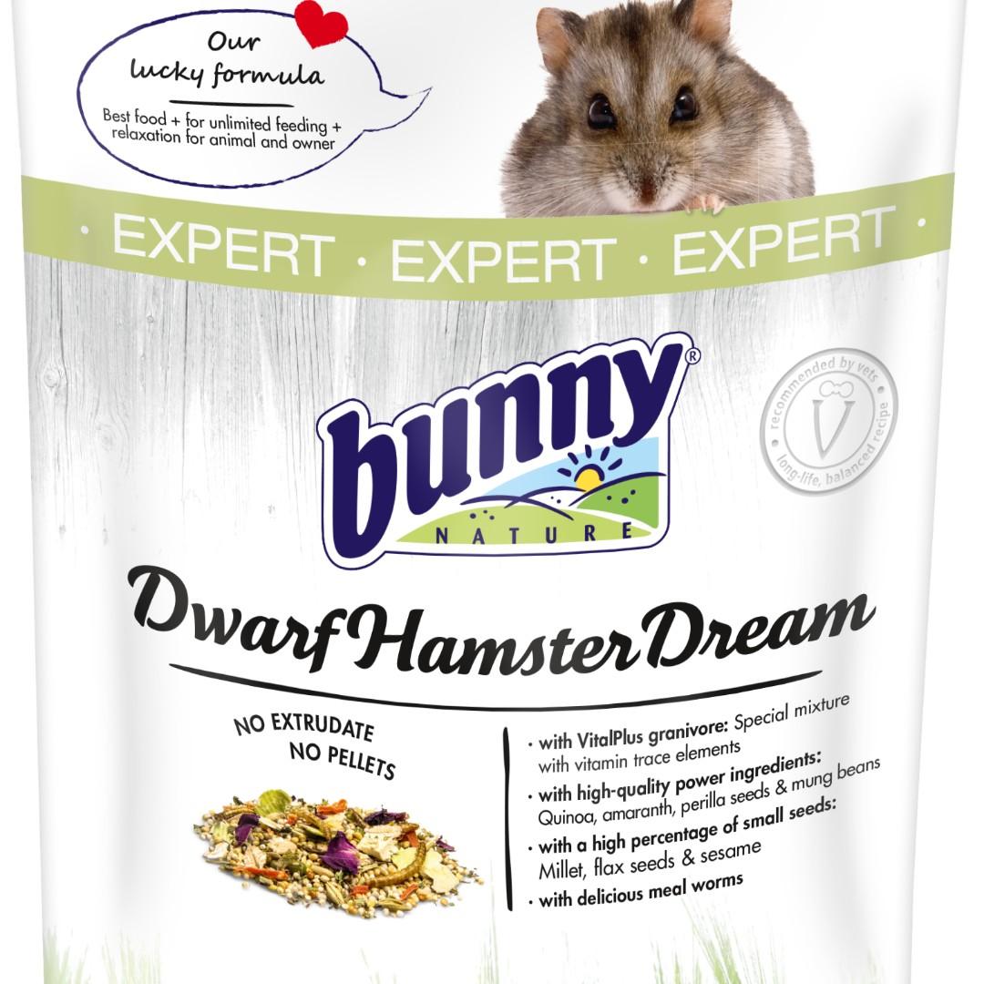 bunny nature hamster dream