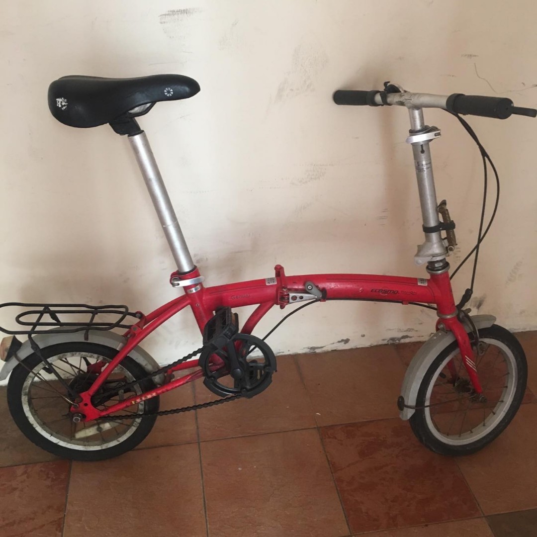 Ecosmo dahon 2025