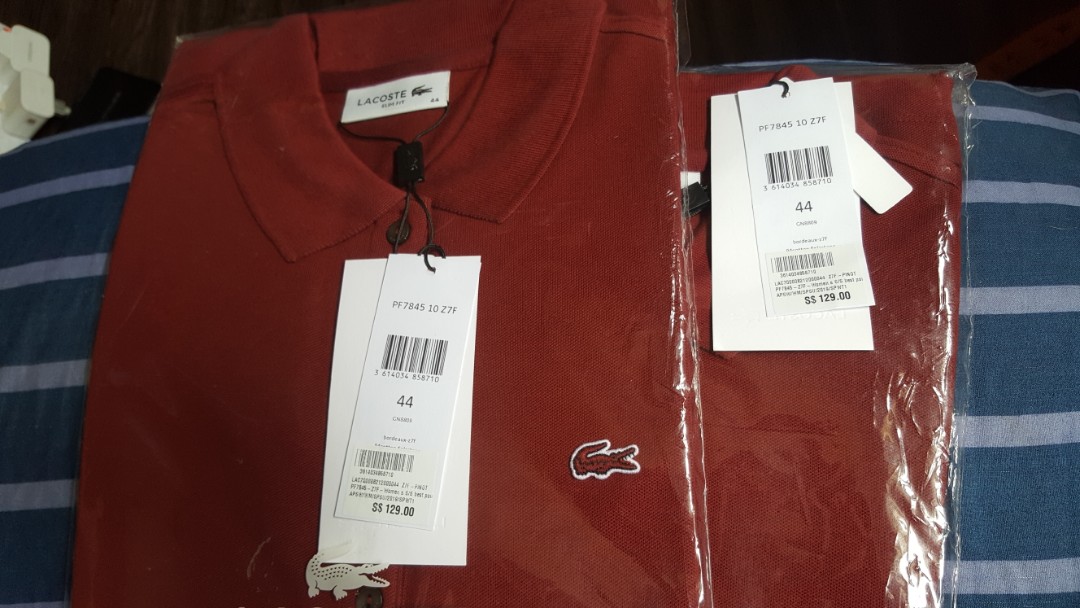 lacoste 44 size
