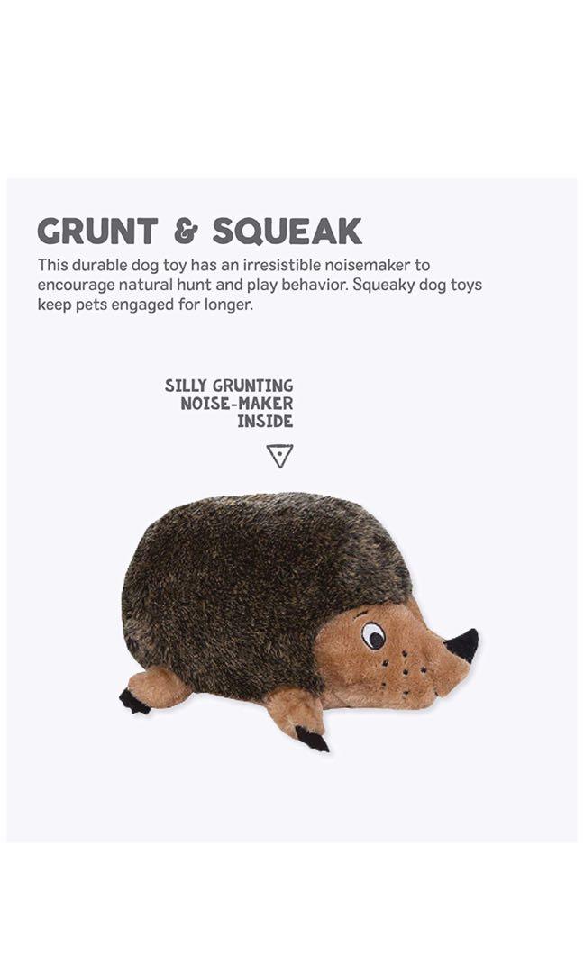 Outward hound new hedgehog dog soft toy grunter (Category: Homes & Other Pet Accessories) located in Singapore. Submitted by suesue888 (Listing ID 253788215, Image 1). Description: 🐾 This gets the Cody seal of approval - large size reviewed (medium for sale)🐾 Cody absolutely loves this! It was one of the first toys we got him at 4months (teething stage!!) and more than one year on, still his top 3 favourites! He’s a standard goldendoodle (26kg)