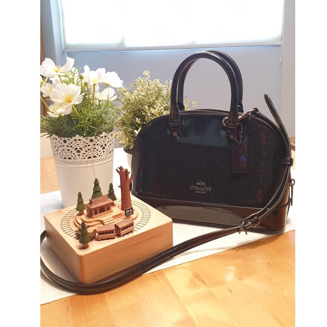 Glitter coach bag new arrivals