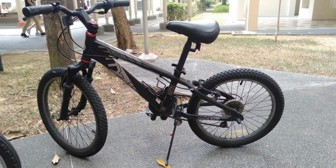 schwinn giant
