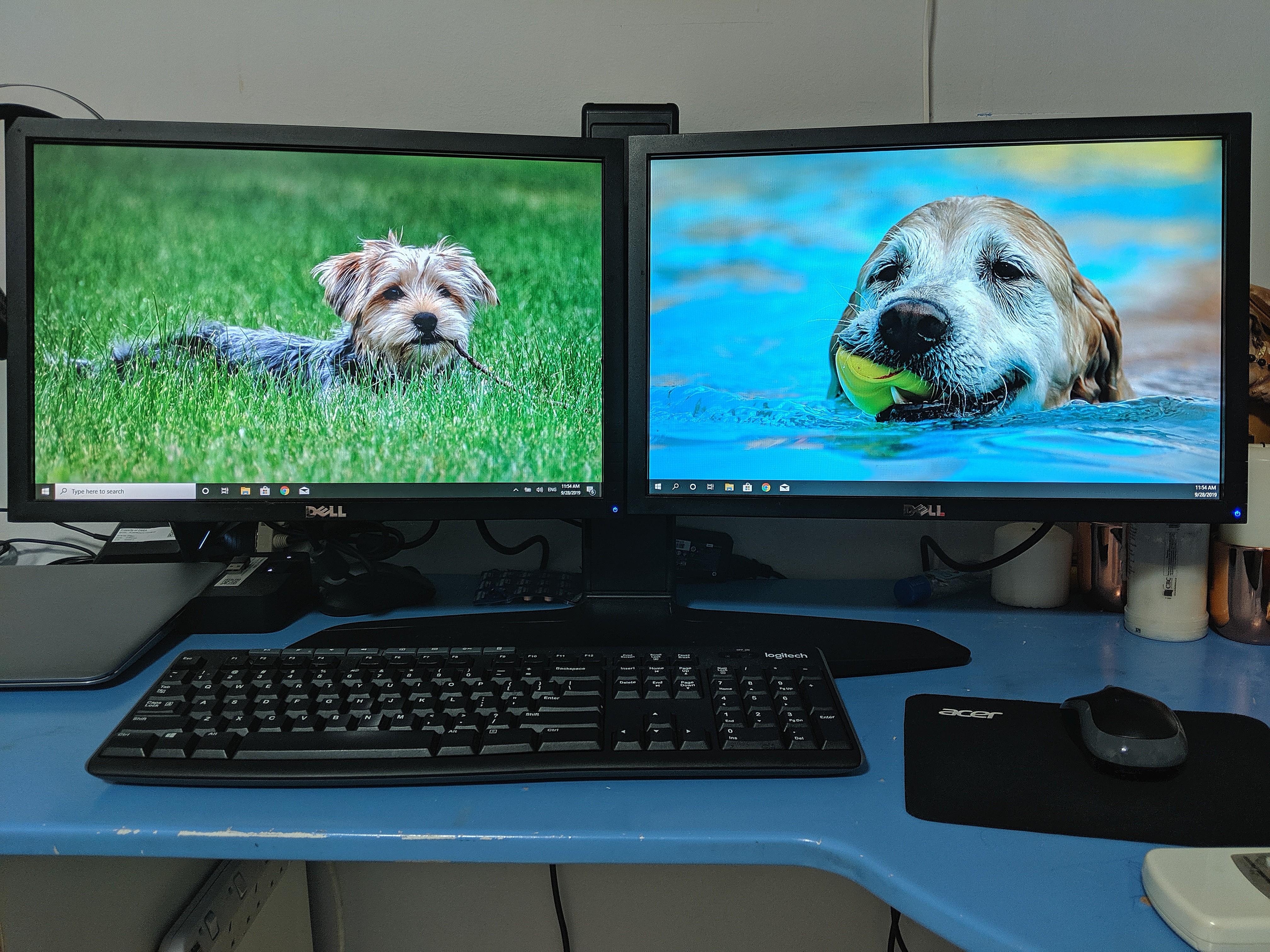Monitor - Dual Dell 19\