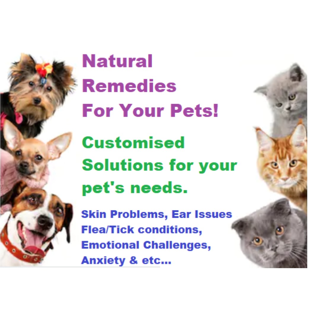 flea natural treatment for dogs