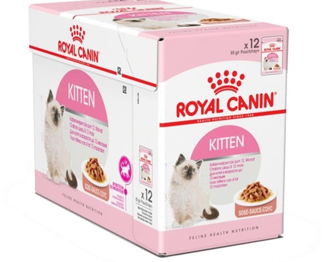 Royal Canin Wet Dry Food Pet Supplies For Cats Cat Food On Carousell