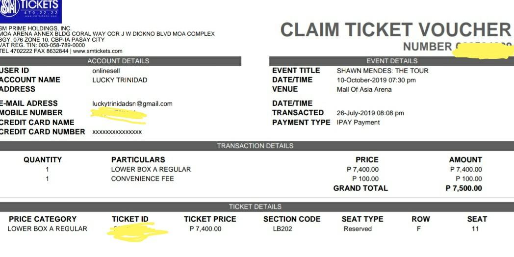 Shawn Mendes The Tour Concert Ticket, Tickets & Vouchers, Event Tickets