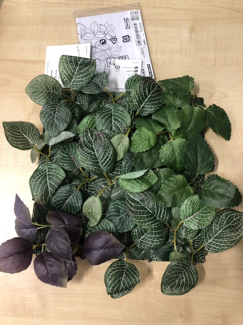 Artificial plant (wall mounted), Furniture & Home Living, Gardening