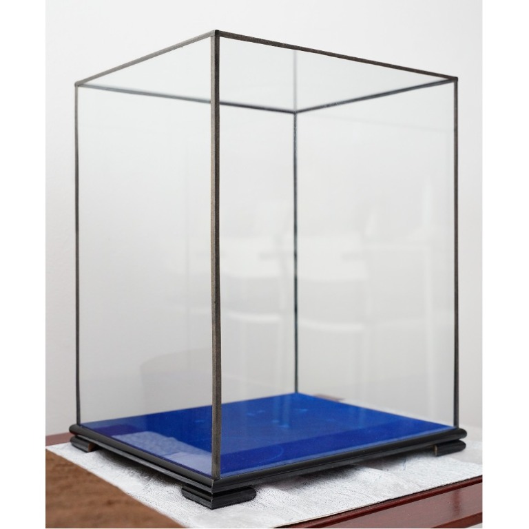 Velvet clearance display case